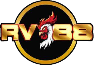 vnrv88.com Logo